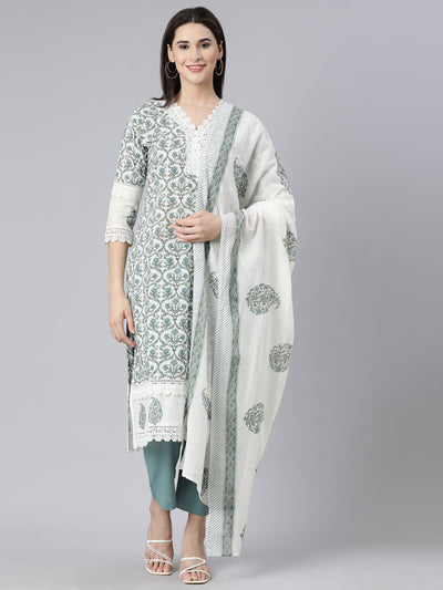 Neerus Blue Panelled Straight Printed Kurta And Trousers With Dupatta