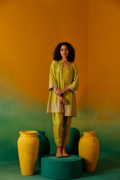 Neerus Mustard Embroidery Chinon Fabric Fusion Set.